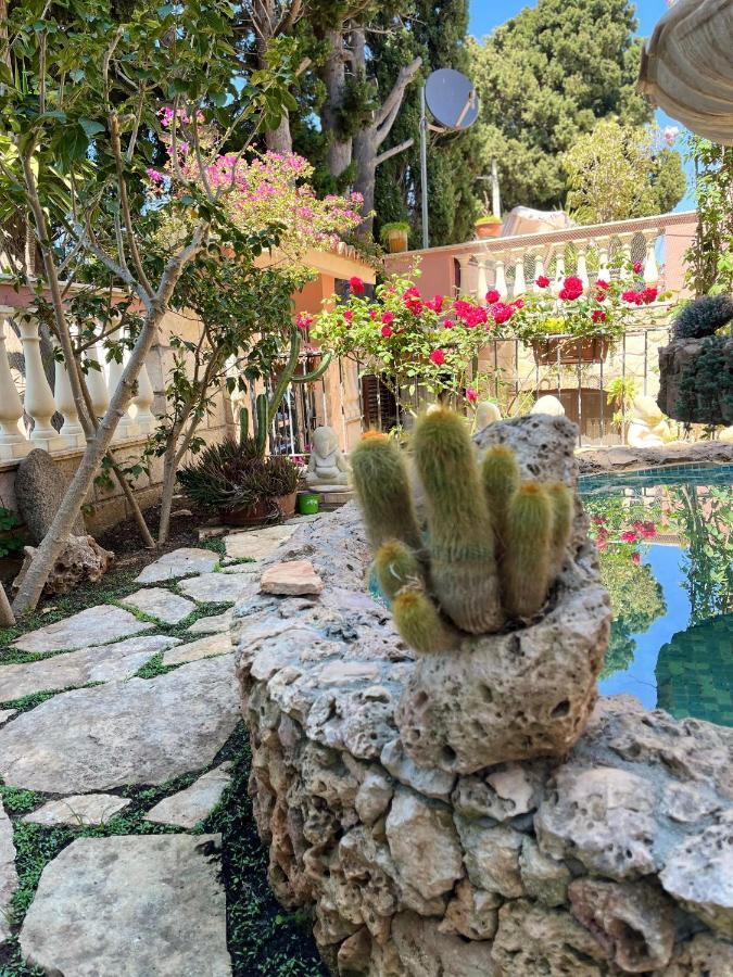 B&B Villa Regina サンタ・ドメーニカ エクステリア 写真